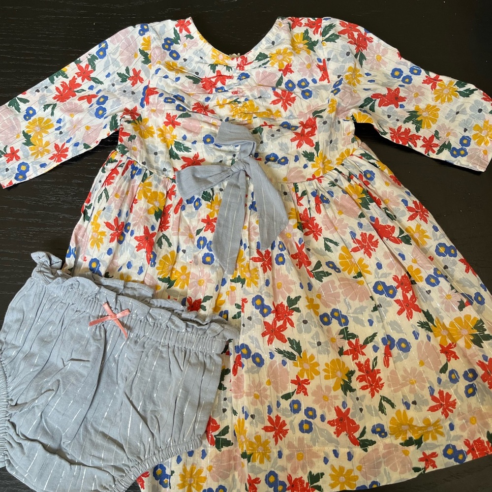 NWOT Girls' Lucy Floral Dress & Bloomers Set - Baby In Multi size 6-12